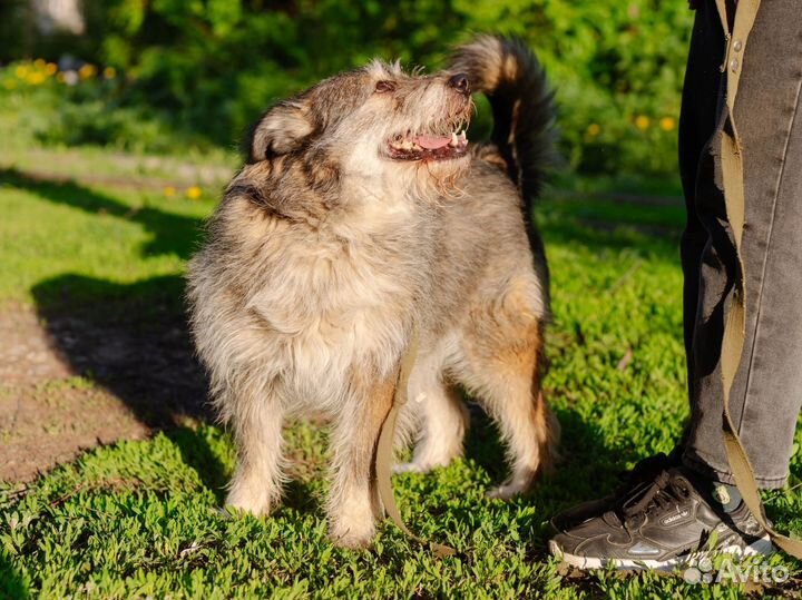 Милая Машерочка в добрые руки