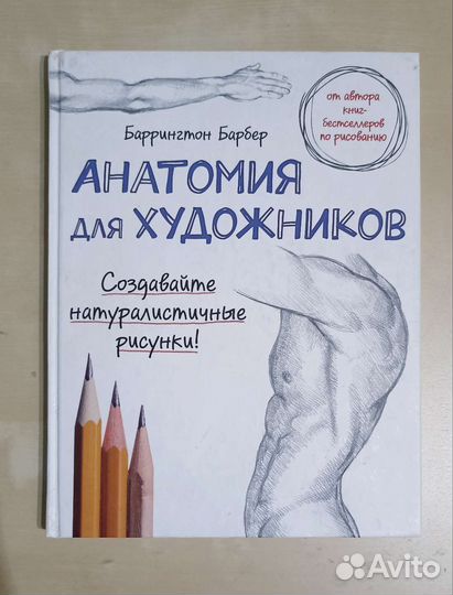 Анатомия для художников