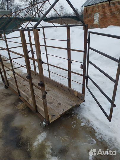 Клетка, аренда, продажа