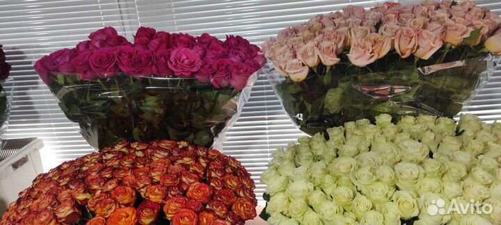 Эквадорские розы любой размер