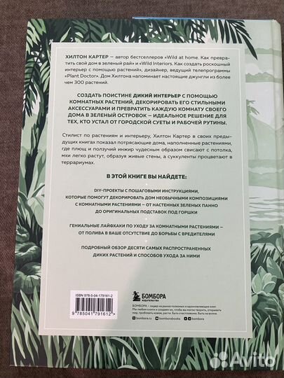 Хилтон картер дикий креатив wild сrеатiоns. Новая