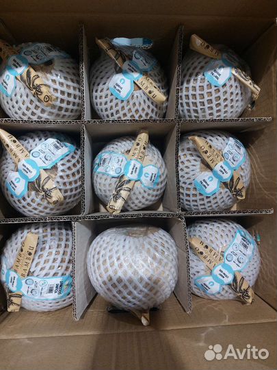 Кокос (Вьетнам)