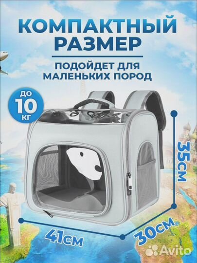 Переноска для кошек