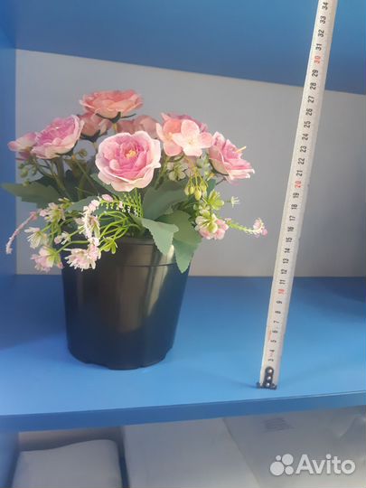 Горшок с цветами в бетоне