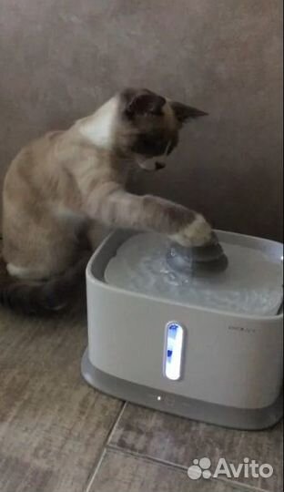 Поилка для кошек и собак Petwant W1