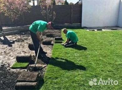 Газон от производителя