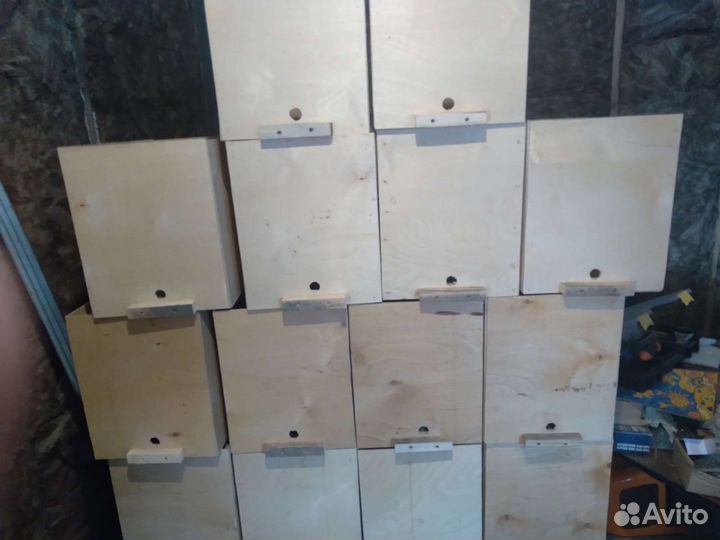 Ловушки для пчёл