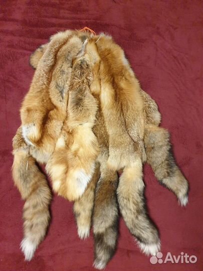 Лисья шкура