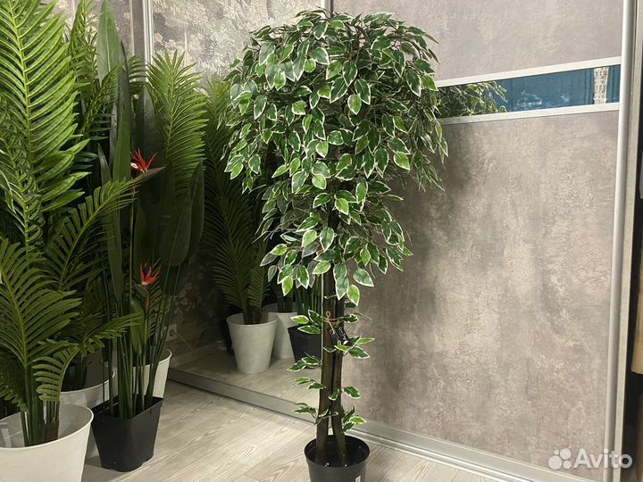 Искусственное дерево Искусственный Фикус