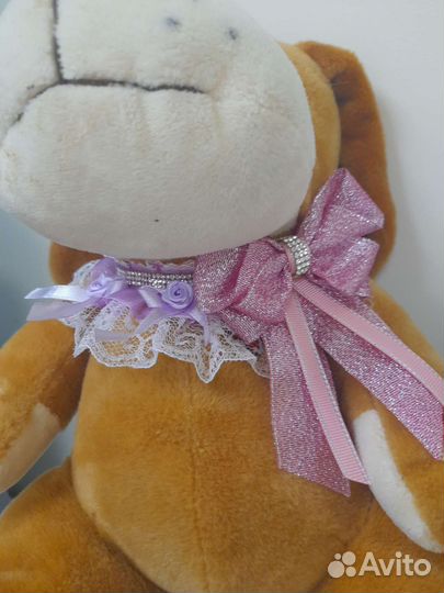 Ошейник для собак и кошек