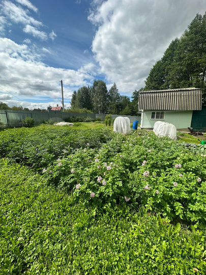 Дача 42,7 м² на участке 8 сот.