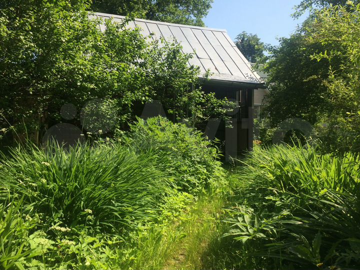 Дом 61,7 м² на участке 6 сот.