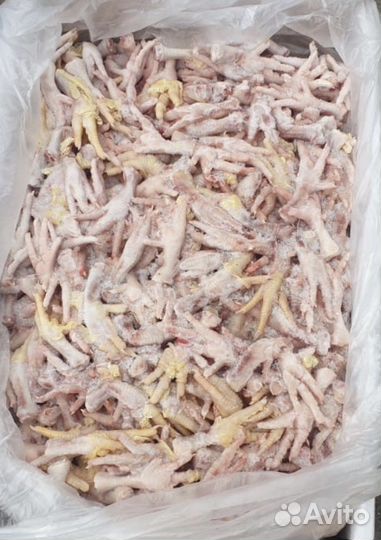 Корма для животных