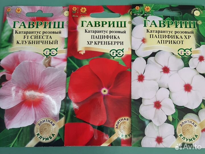 Катарантус семена