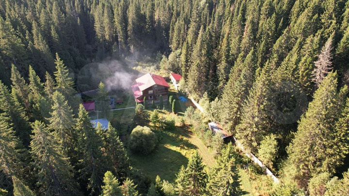 Дом 250 м² на участке 50 сот.