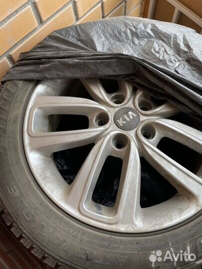 Triangle IcelynX TI501 R17