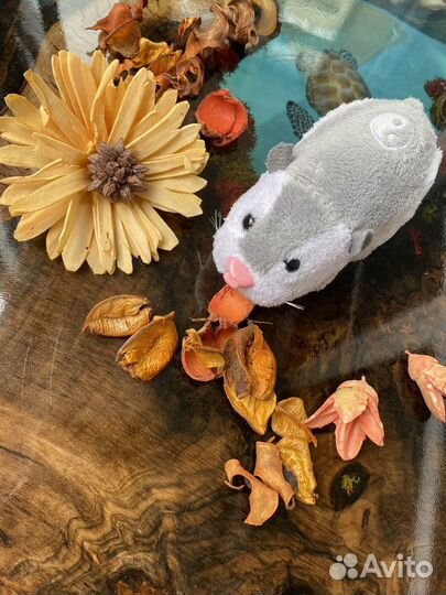 Интерактивный Хомяк Zhu Zhu Pets «Yo-Yo» 2008