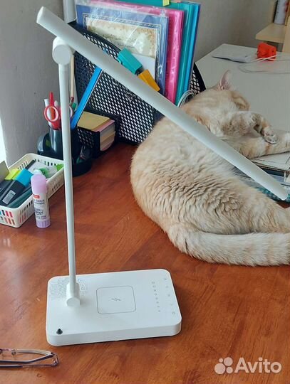 Лампа читающая коран