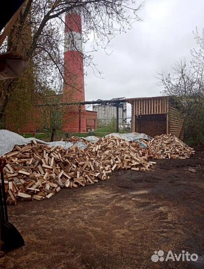 Дрова колотые береза