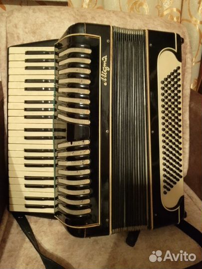 Аккордеон migma