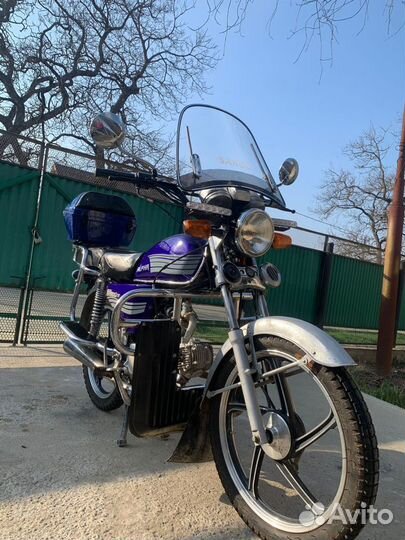 Alpha limited edition новая