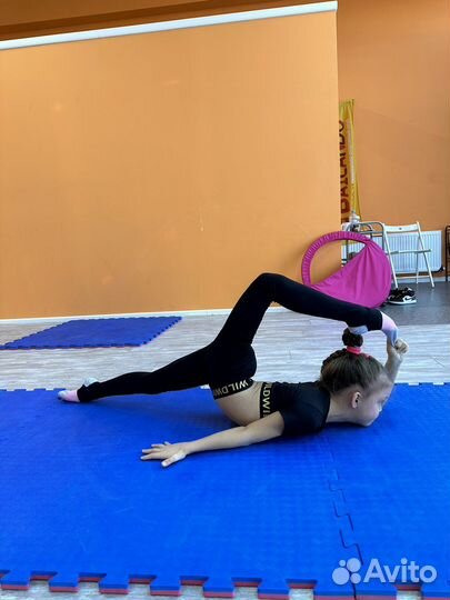 Художественная гимнастика