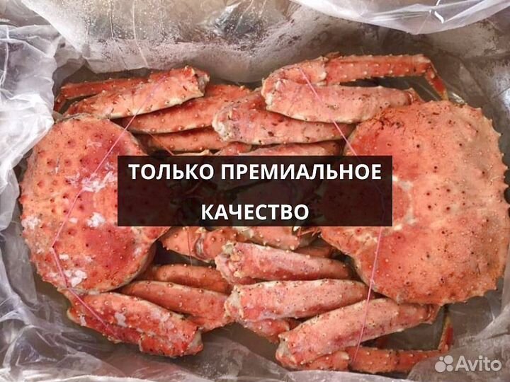 Краб Камчатский