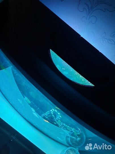 Аквариум телевизор 55л