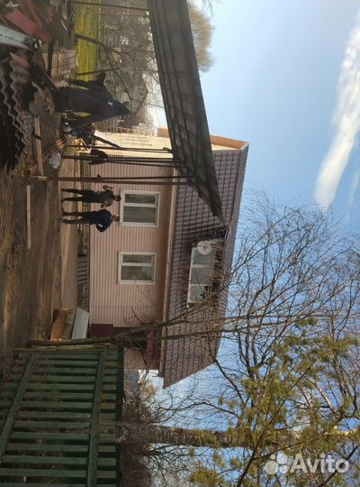 Строительная бригада ремонт кровли