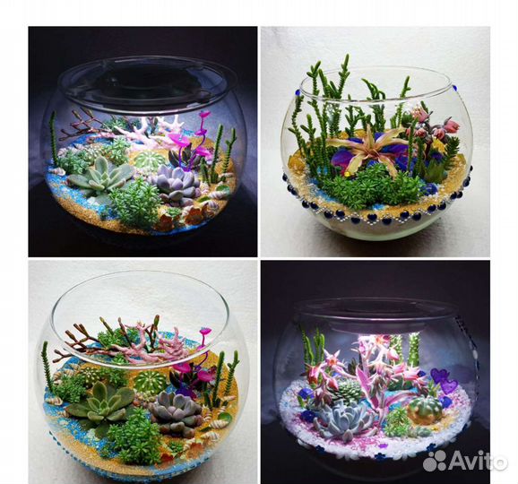 Флорариум Эксклюзив с футбольный мяч