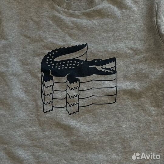 Свитшот Lacoste