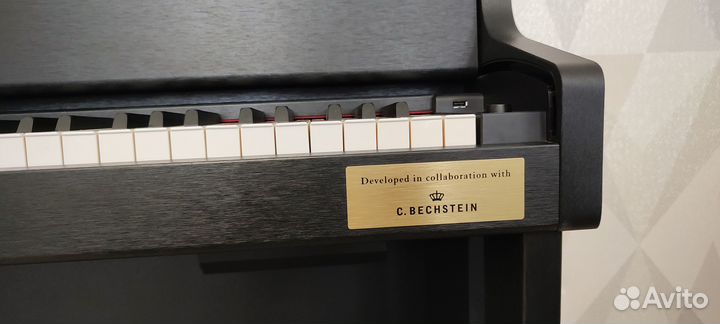 Цифровое пианино Casio Celviano GP-310BK