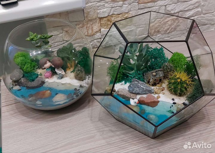 Флорариумы с суккулентами разные