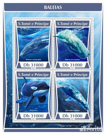 Сан-Томе, 2016. (st17311) Морская фауна, киты (мл+