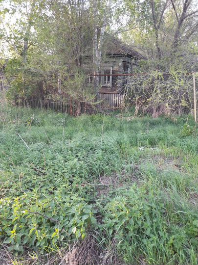 Дом 40 м² на участке 3 сот.