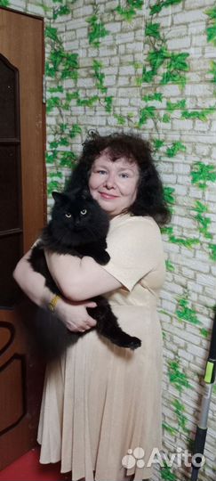 Квартирная зоогостиница, передержка животных выгул