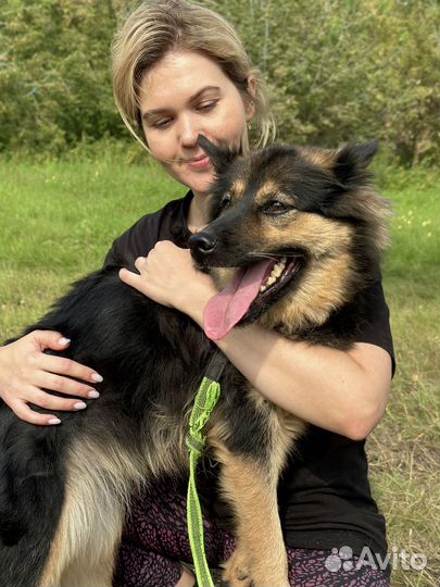 Домашнюю Гретту сдали в приют