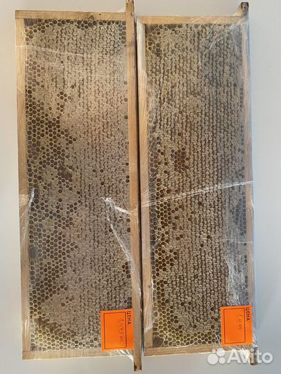 Свежий мед в сотах