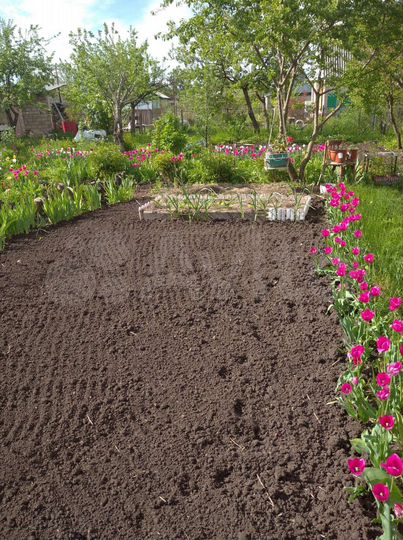 Дом 50 м² на участке 10 сот.