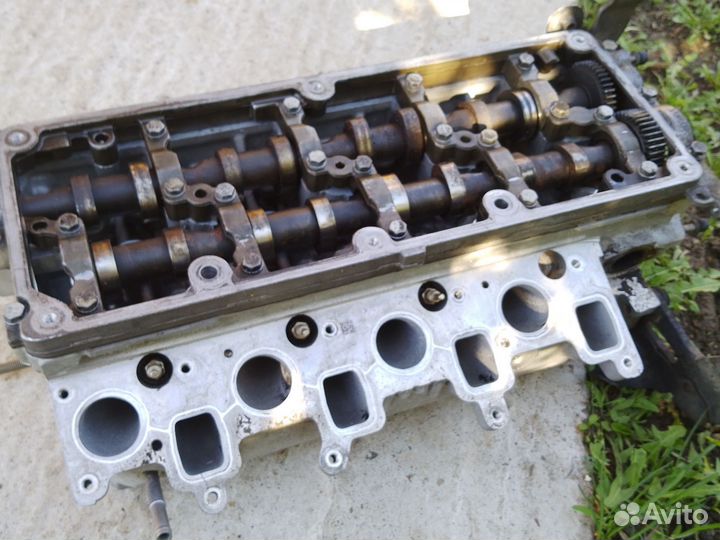 Гбц ваг волк