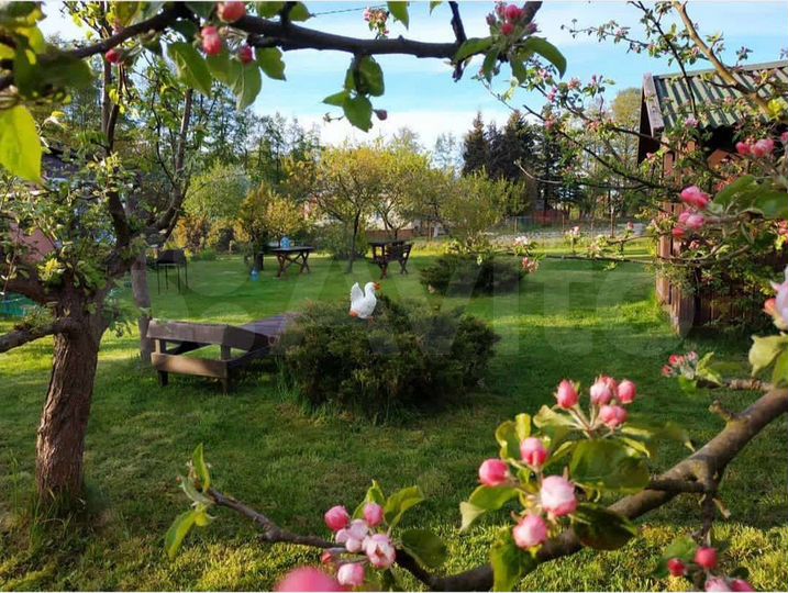 Дом 70 м² на участке 24 сот.