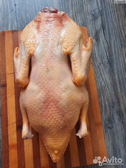 Утка домашняя мясо