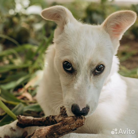 Маленькая Белочка с сердечком для любви