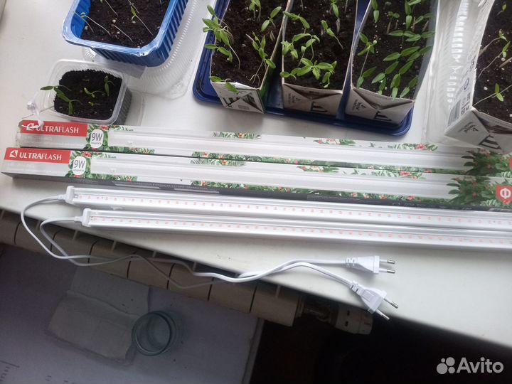 Фитолампы для растений длинные новая