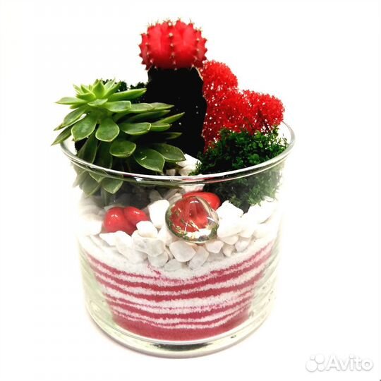 Флорариумы и композиции