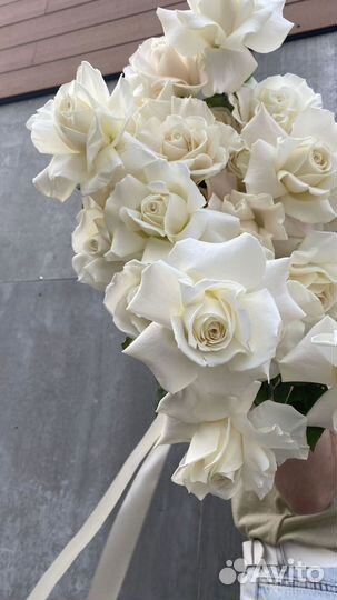 Розы сорта Playa Blanka. 23 штуки