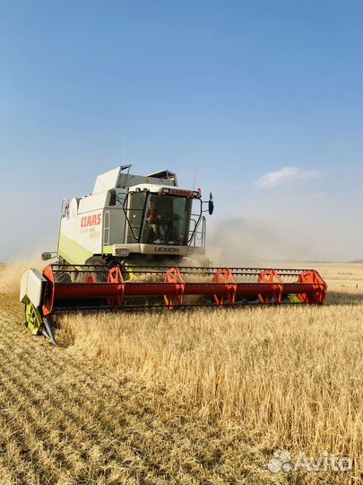 Уборка урожая 2023 класс