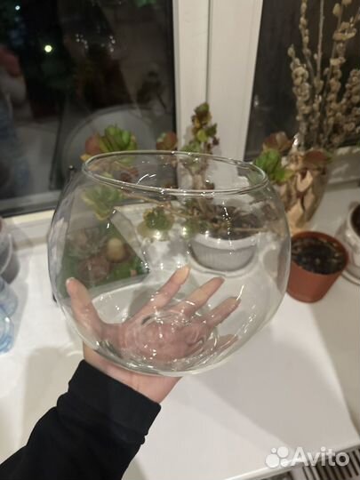 Аквариум круглый 3 л