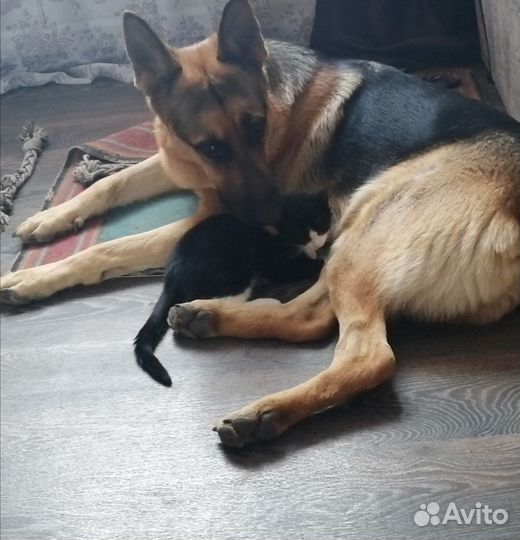 Кабель вязка