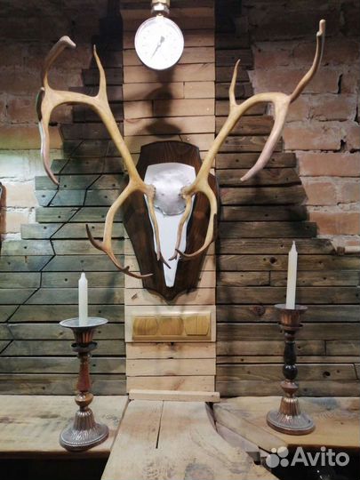 Медальон Рога оленя